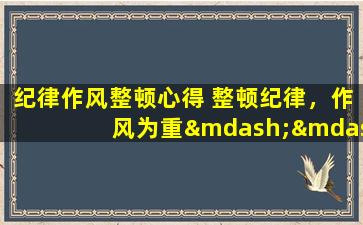 纪律作风整顿心得 整顿纪律，作风为重——我的心得体会